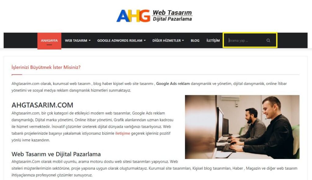 Wordpress Site Arama Butonu