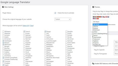 WordPress Google Translate Eklentisi